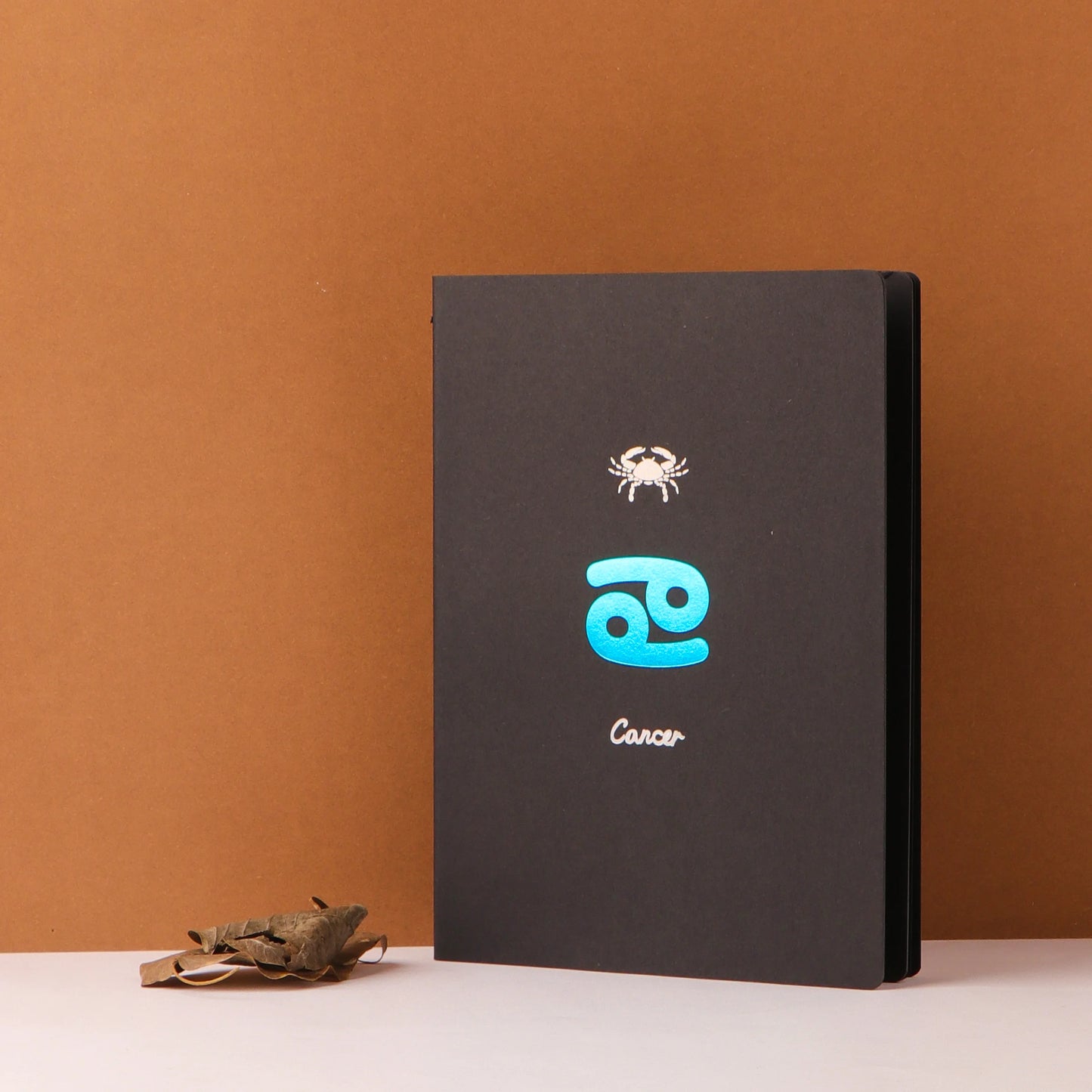 Black Page Star Sign Astrology Notebook