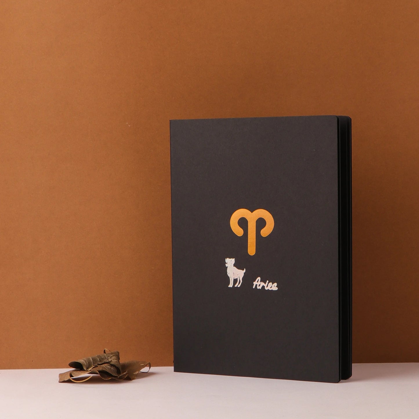 Black Page Star Sign Astrology Notebook