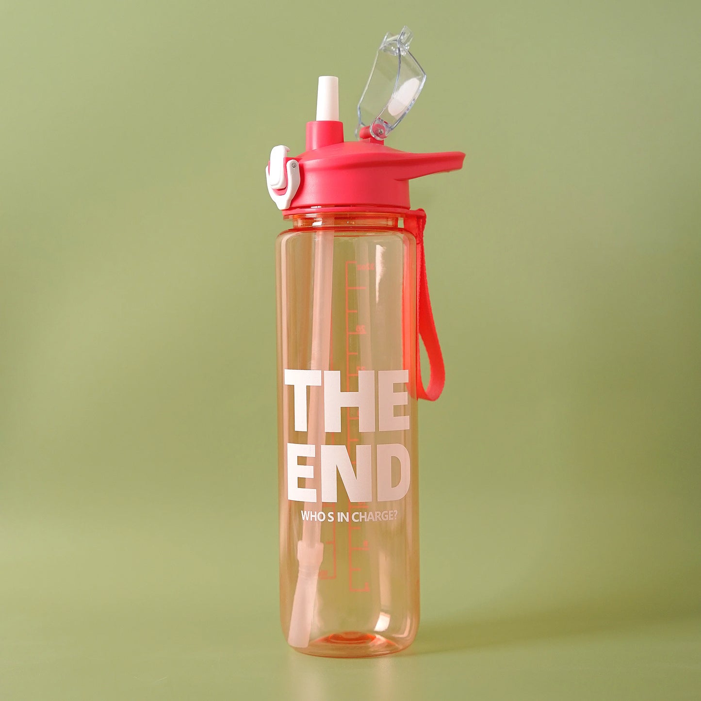 The End Plastic Water Bottle with Handle n Ribbon