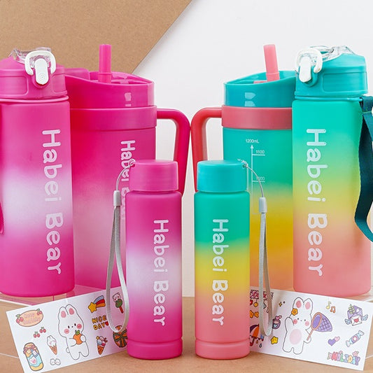 Gradient Color Tumbler Bottle Set