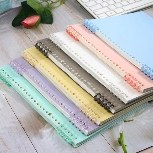 Loose Leaf Grid/Checked Notebook with Plastic Binder