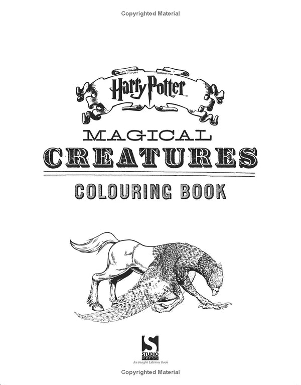 New A4 Harry Potter Coloring Book