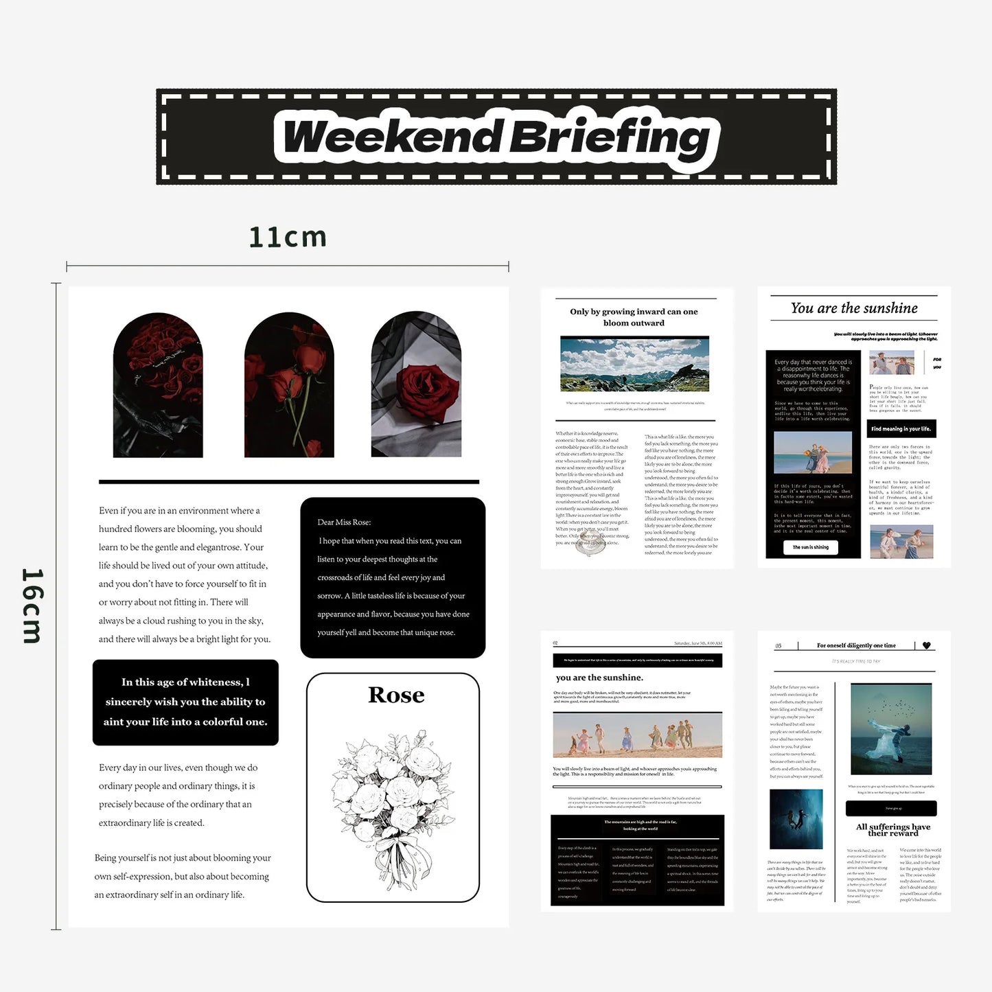 Design layout with text and images on a white background, featuring the title 'Weekend Briefing'.