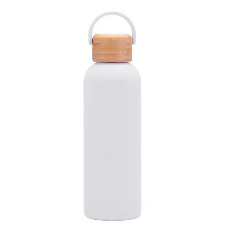 Color Coated Steel Thermos Bottle with Bamboo Lid