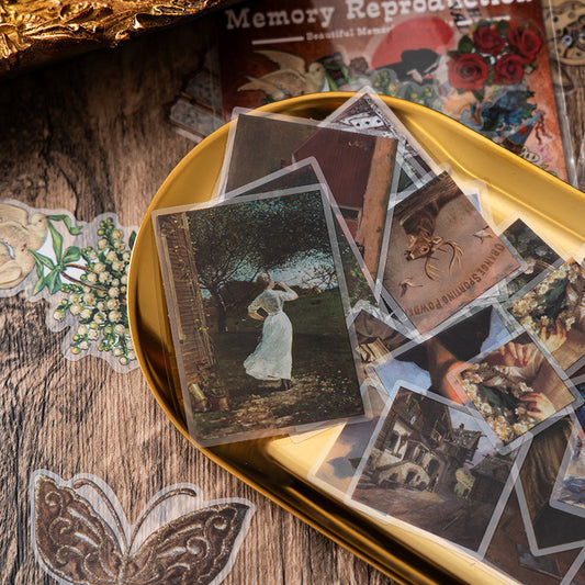 Retro Old Memory Pet Stickers