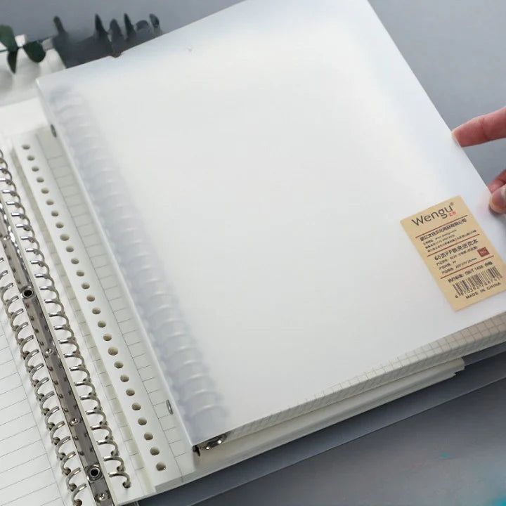Loose Paper Sheets