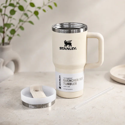 20oz Insulated Travel Tumbler with Straw