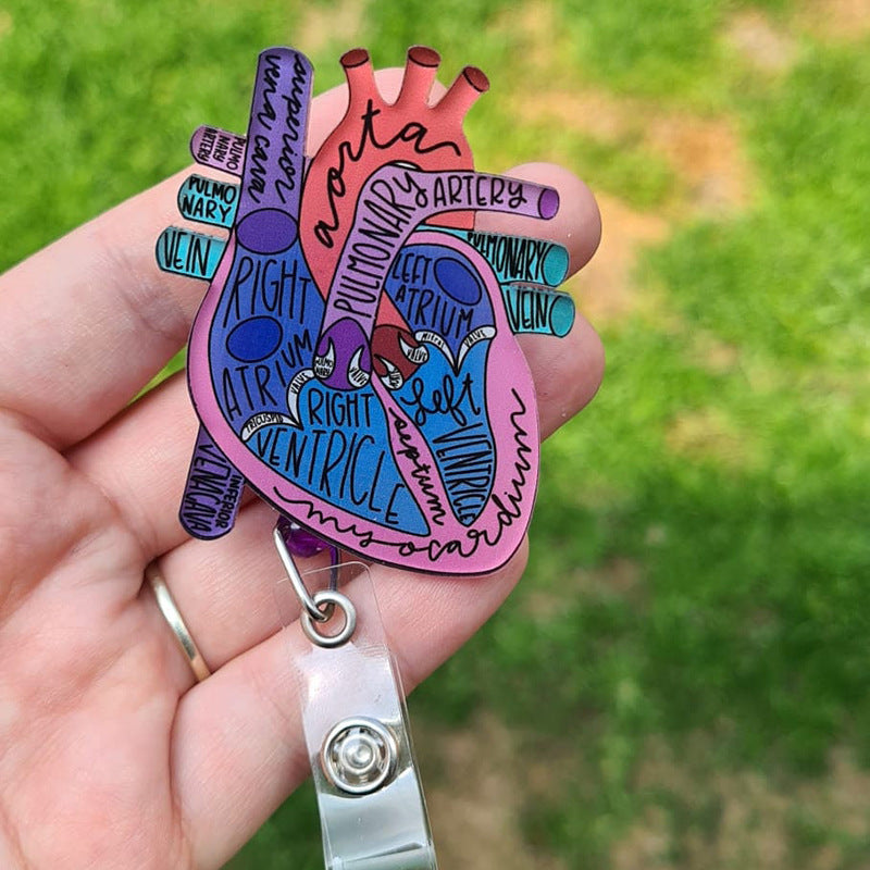 Anatomical Heart Diagram Retractable Badge Holder