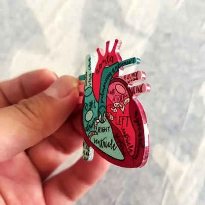 Anatomical Heart Diagram Retractable Badge Holder