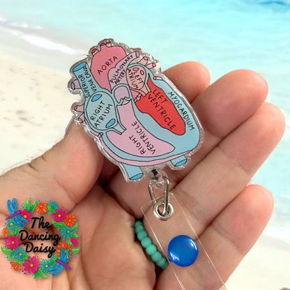 Colorful anatomical heart badge holder held in a hand with a blurred background