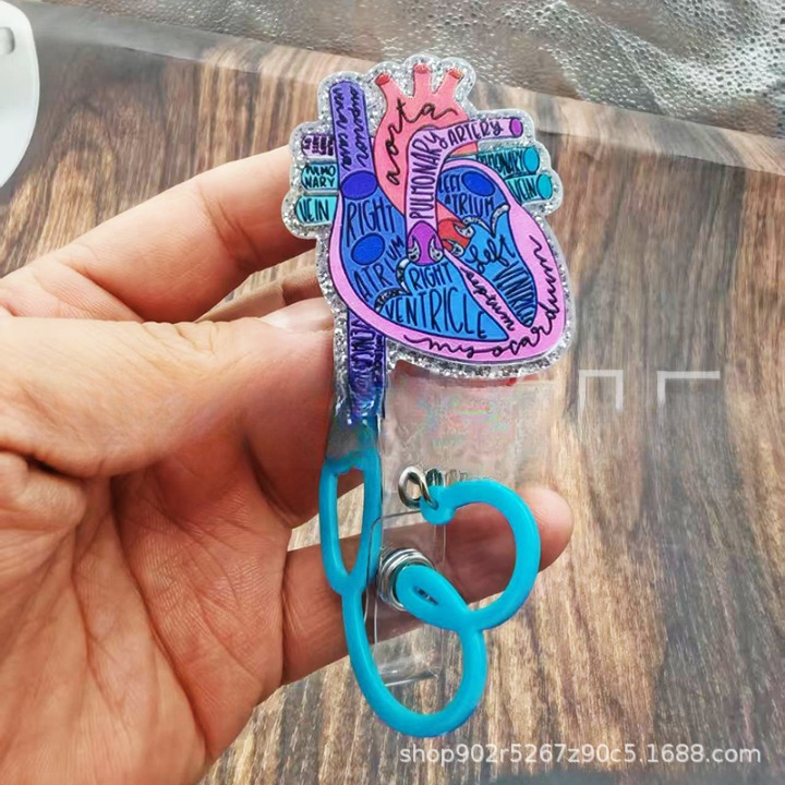 Anatomical Heart Diagram Retractable Badge Holder