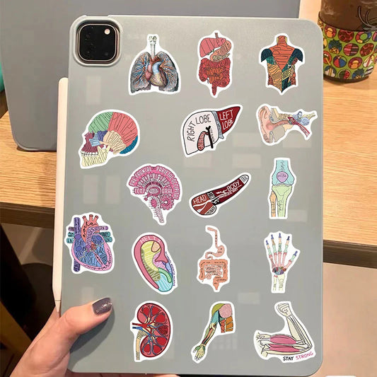 Gray tablet with anatomical stickers on a wooden surface