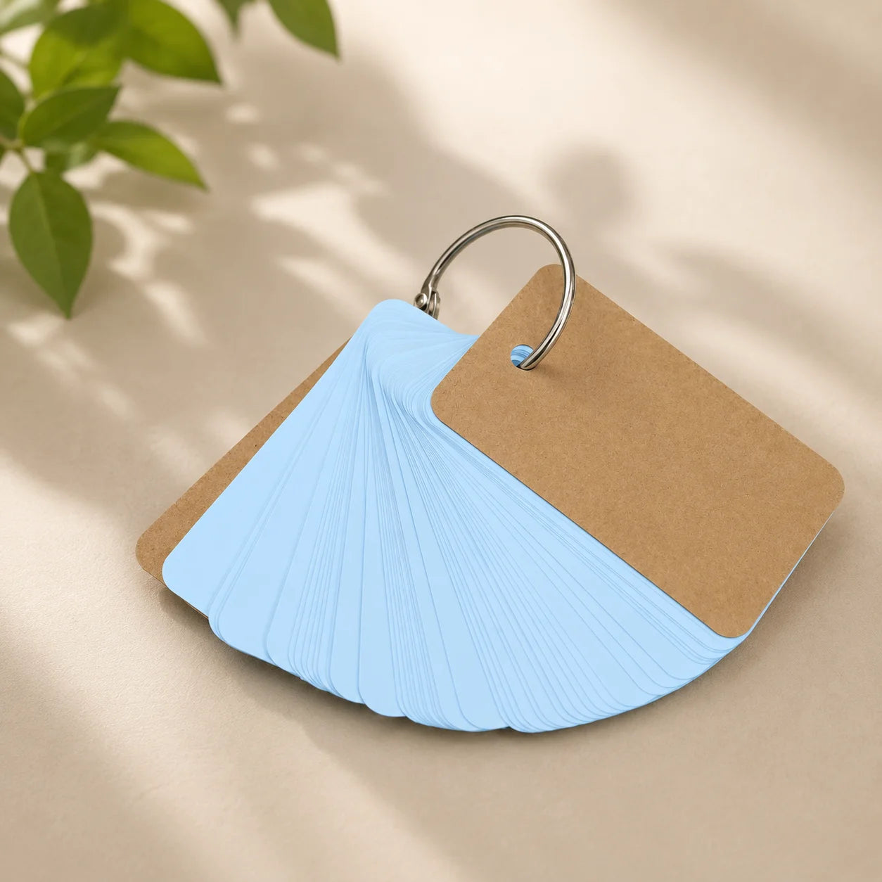 Color Flash Cards With Metal Binder Rings