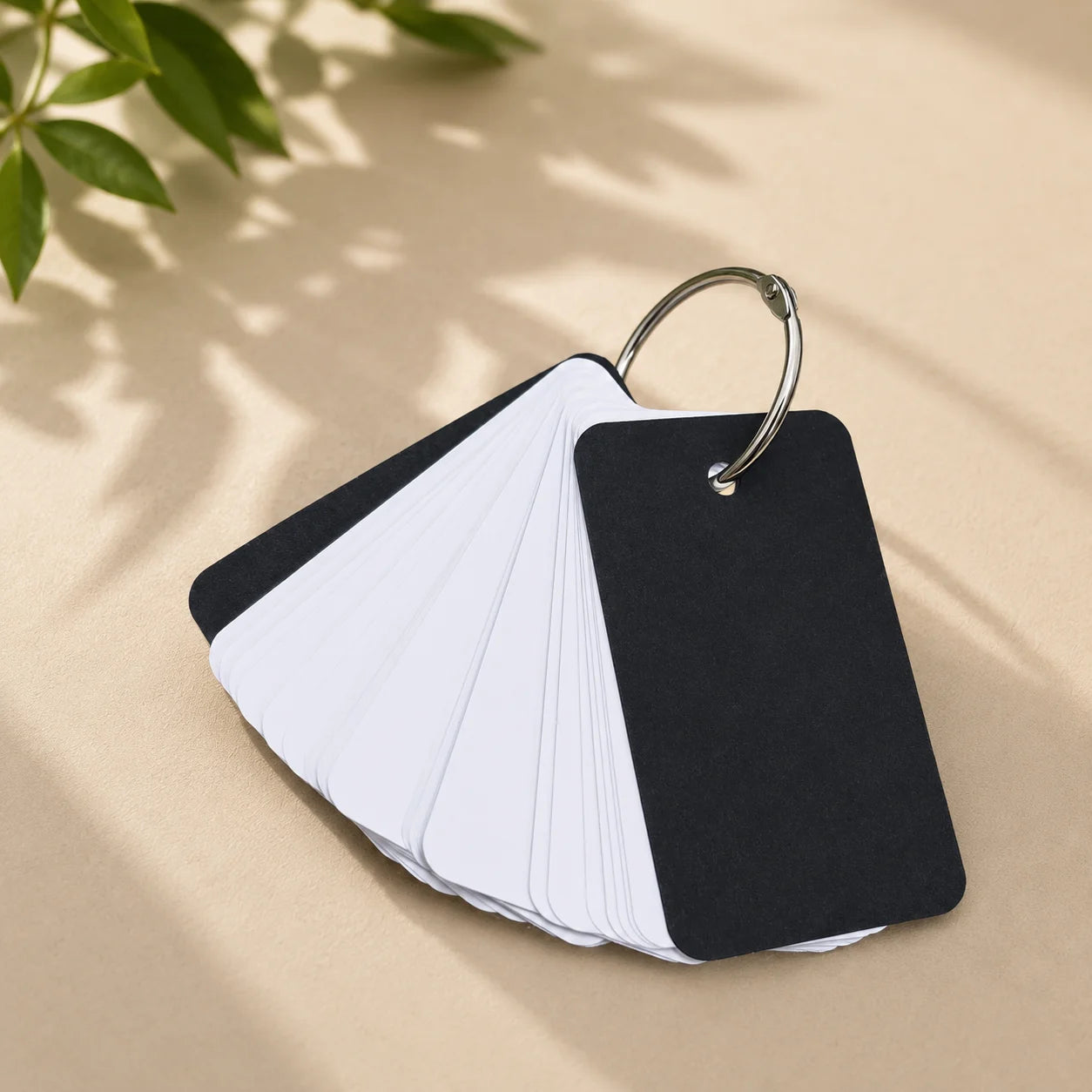 Color Flash Cards With Metal Binder Rings