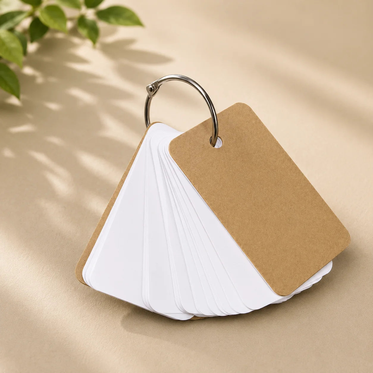 Color Flash Cards With Metal Binder Rings