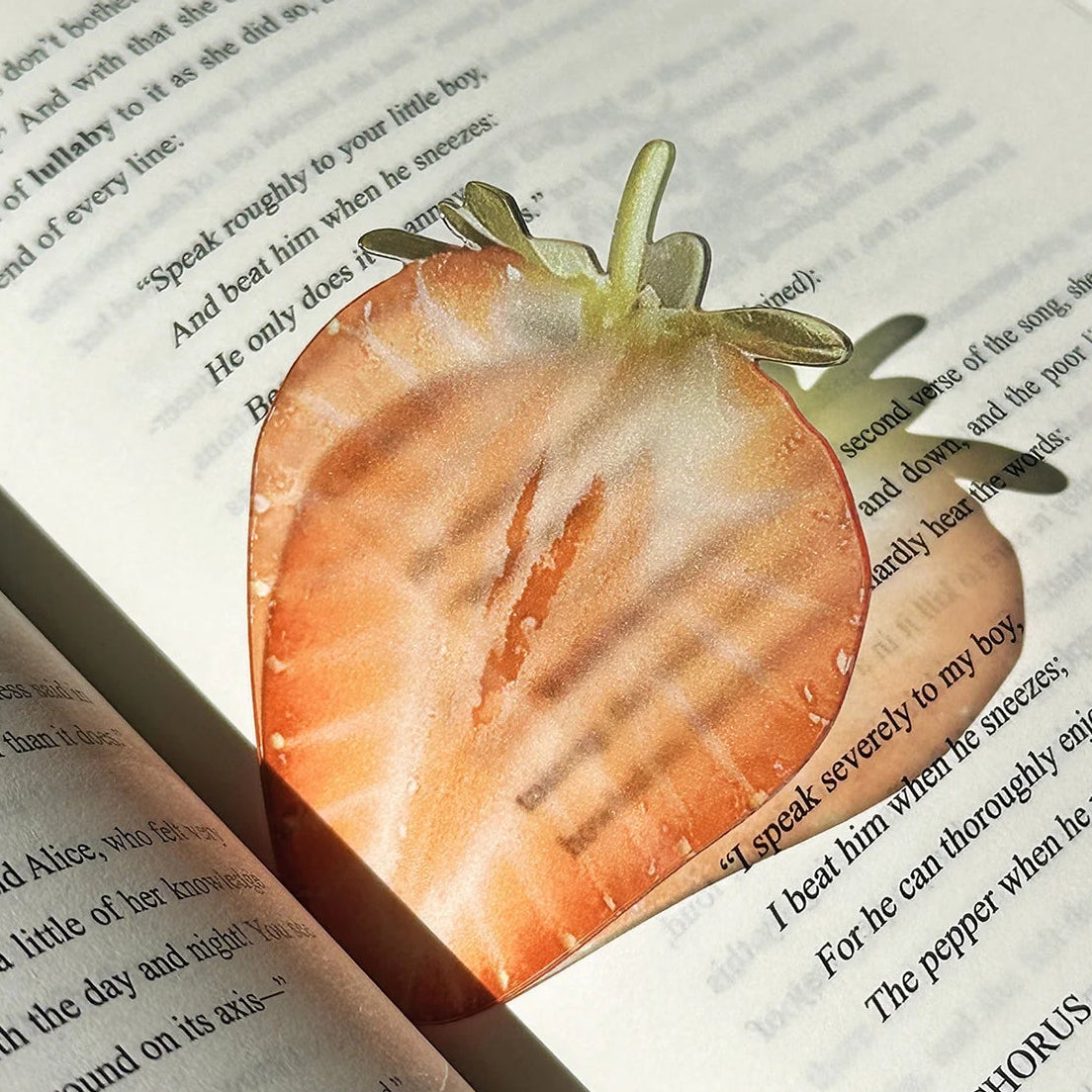 Fruit Style Transparent  Acrylic Bookmark