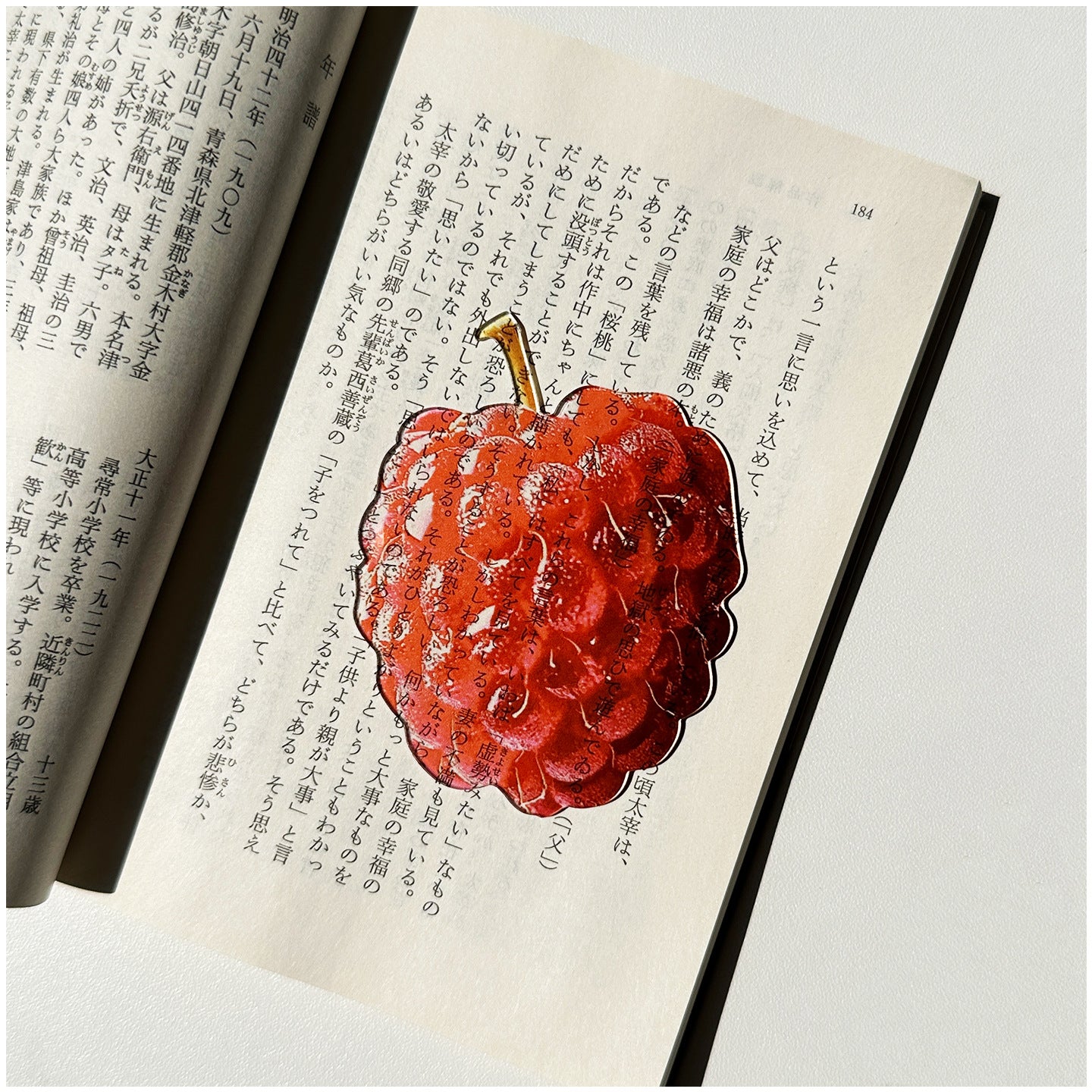 Fruit Style Transparent  Acrylic Bookmark