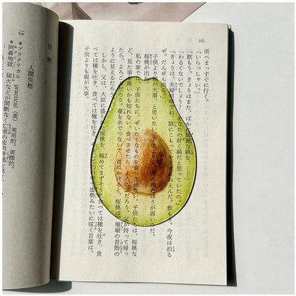 Fruit Style Transparent  Acrylic Bookmark
