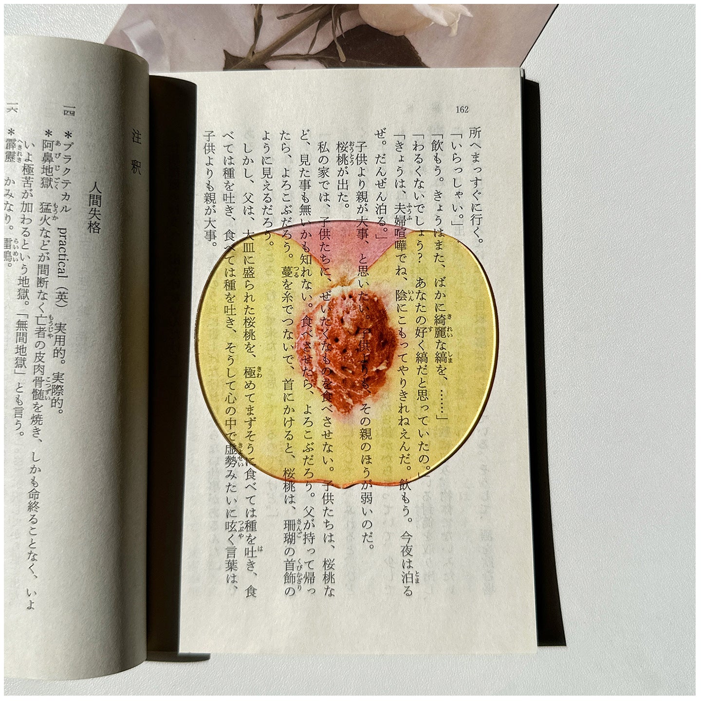 Fruit Style Transparent  Acrylic Bookmark