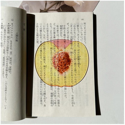 Fruit Style Transparent  Acrylic Bookmark