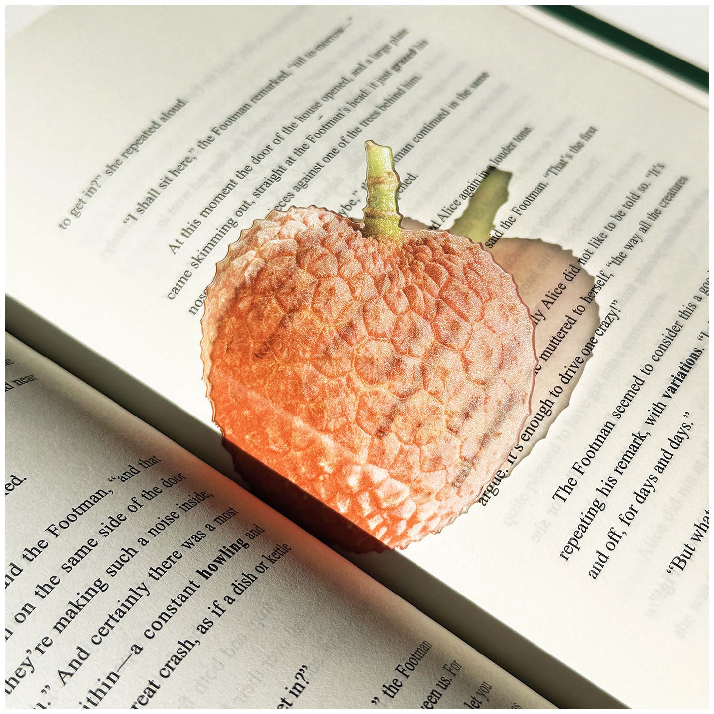 Fruit Style Transparent  Acrylic Bookmark