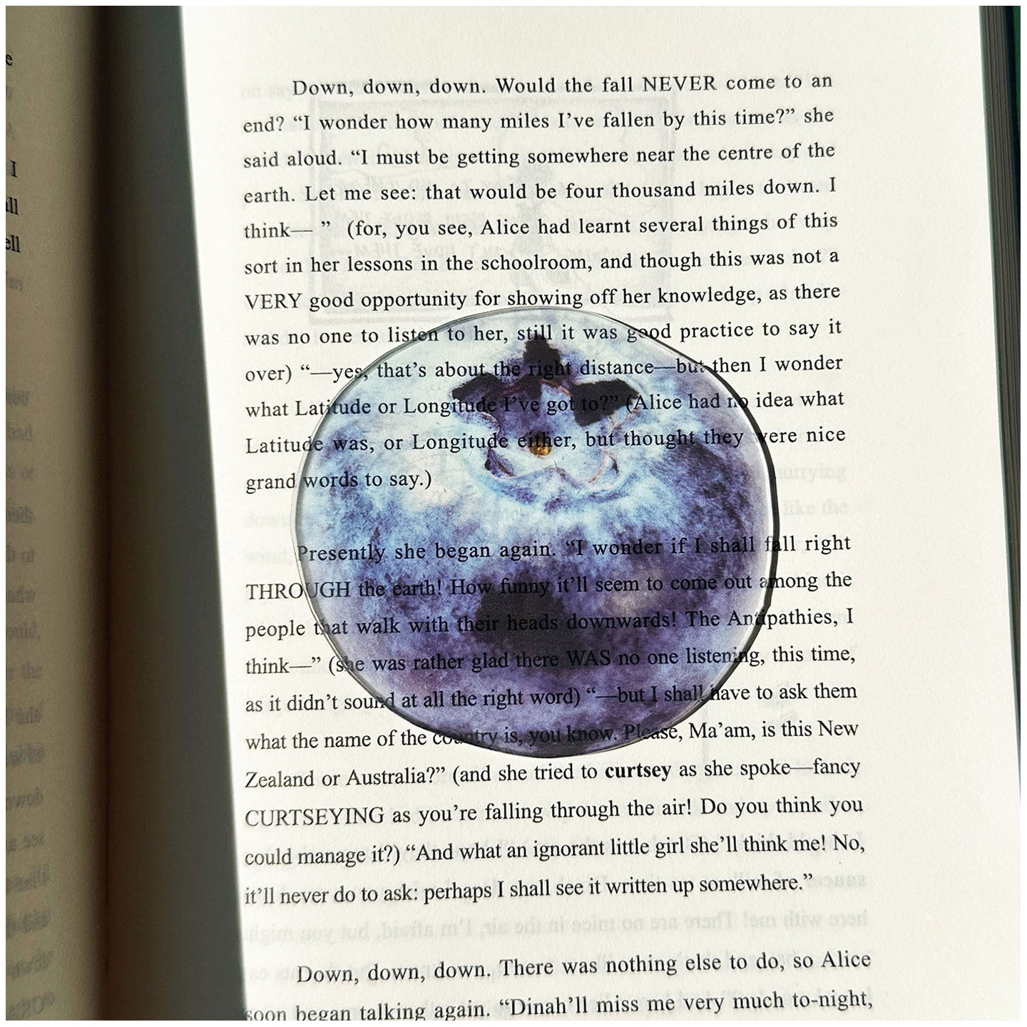 Fruit Style Transparent  Acrylic Bookmark