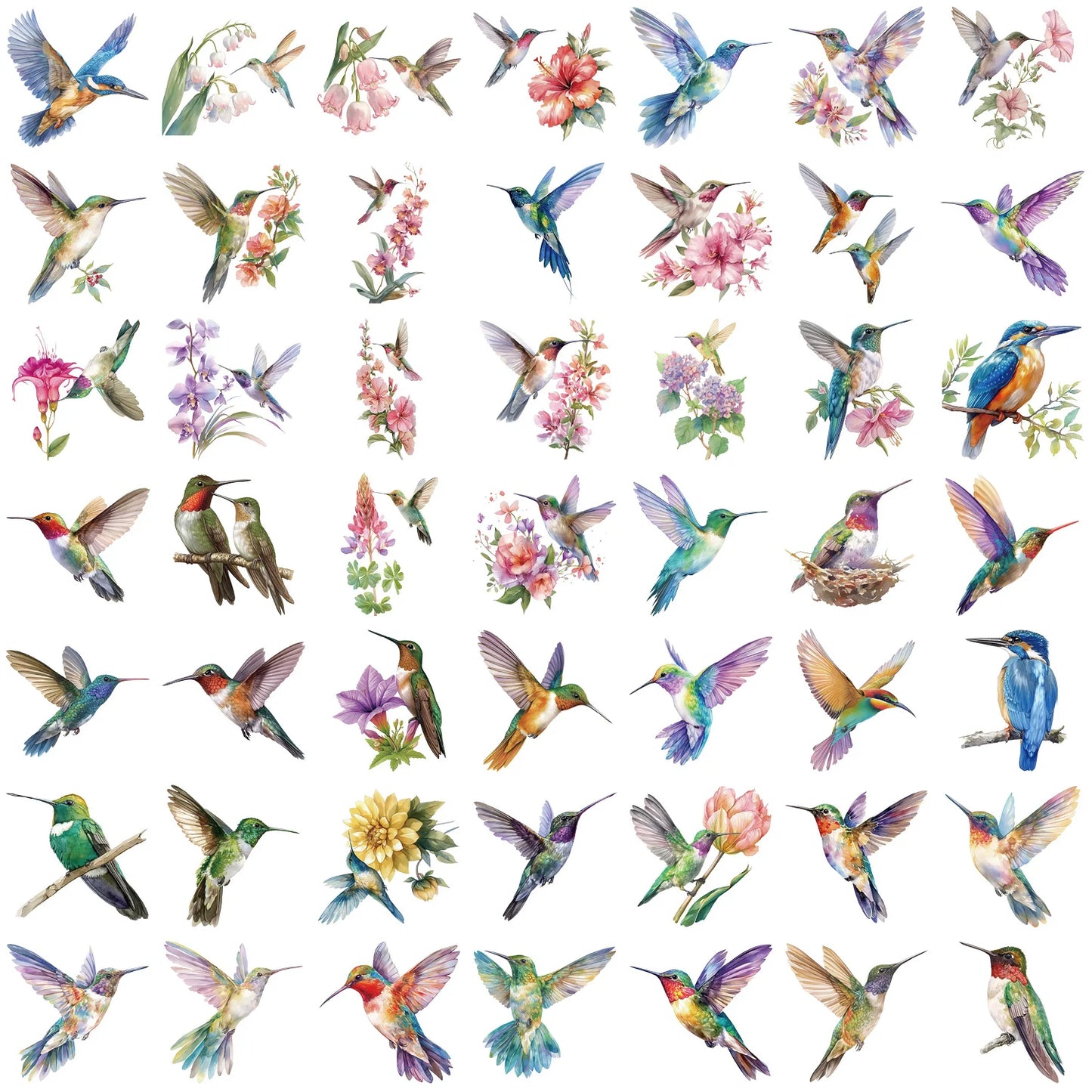 Humming bird Pet Stickers