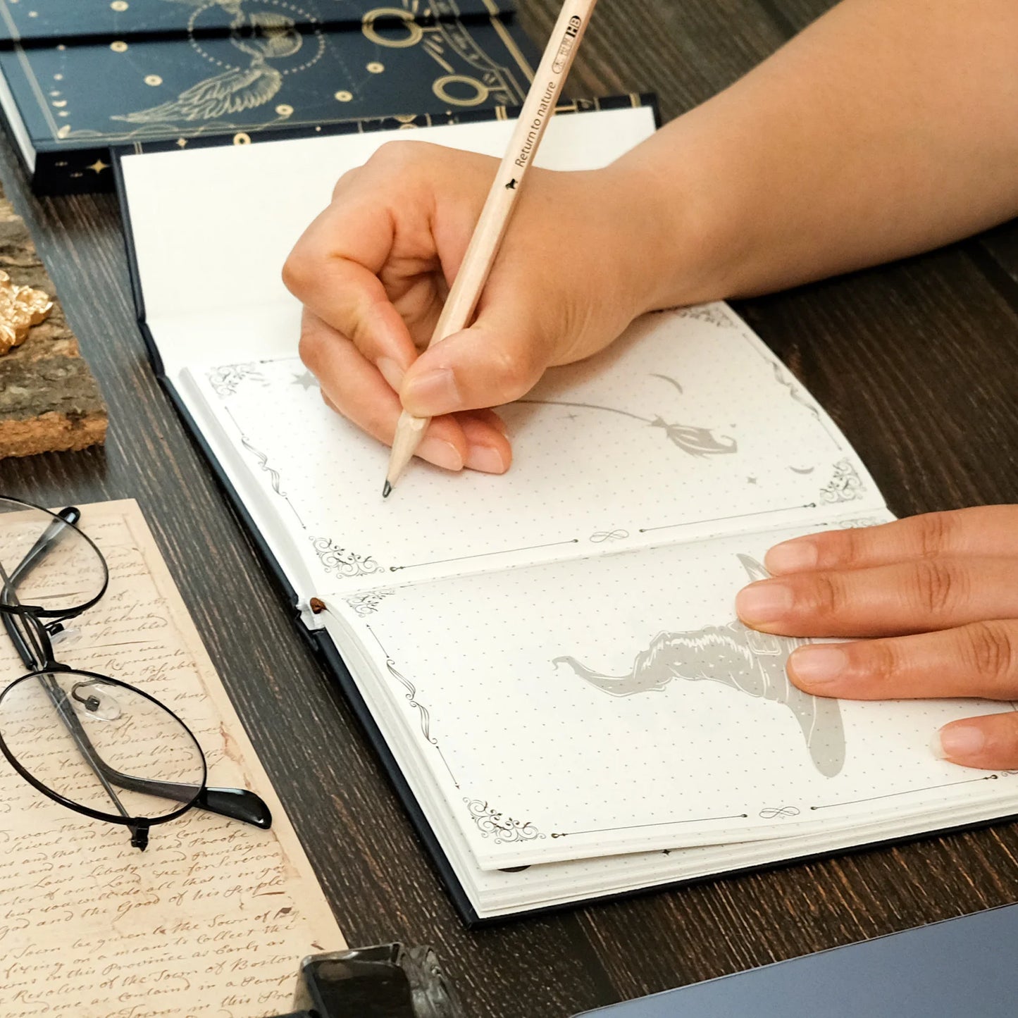 Harry Potter Magical Theif Snitch Retro Planner Journal