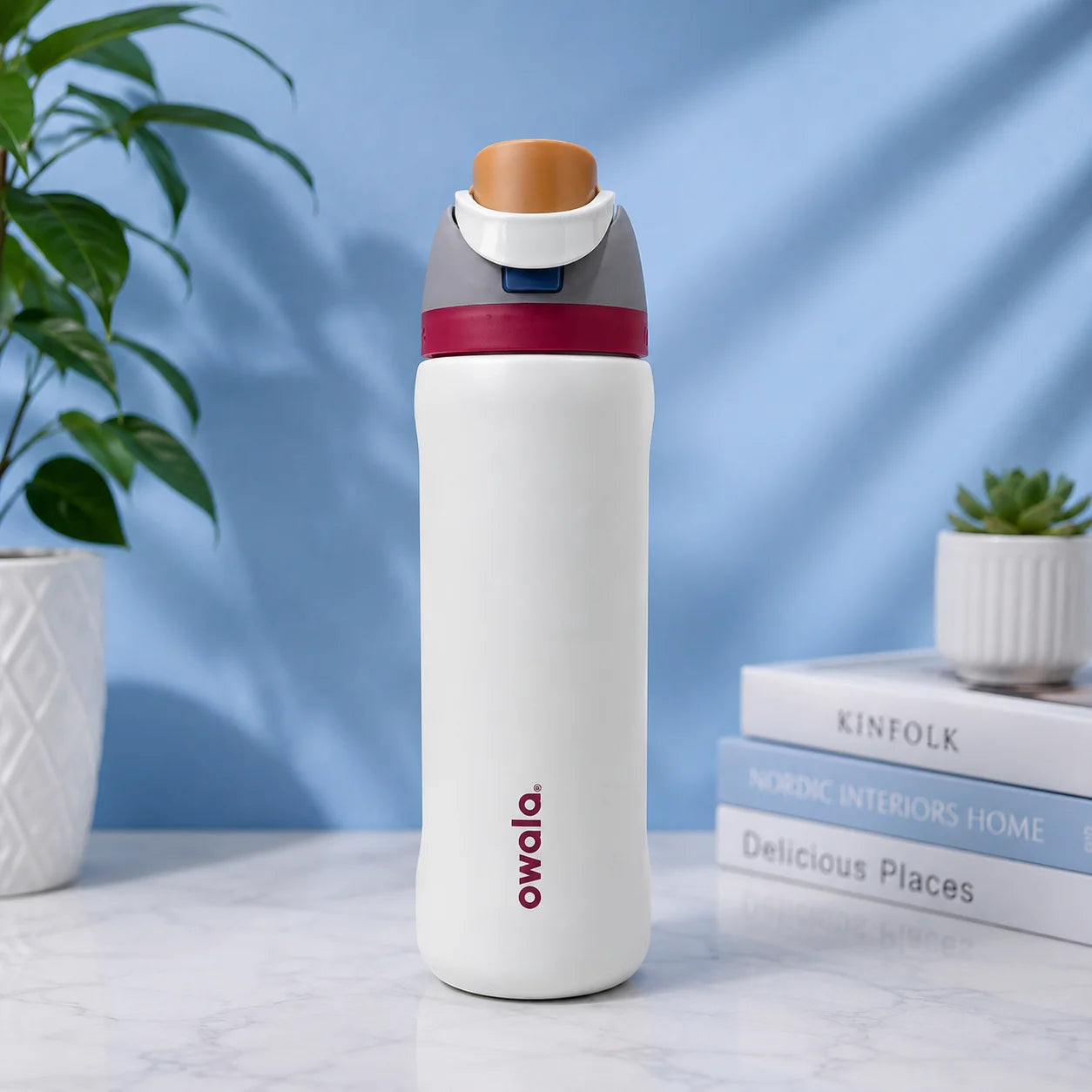 Owala Premium Insulated Water Bottle