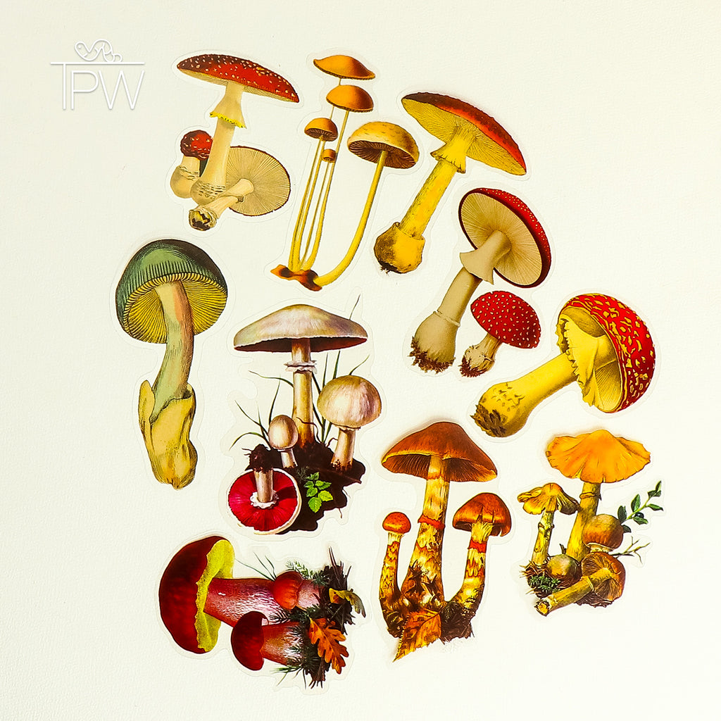 Mushroom World PET Large Stickers Bag