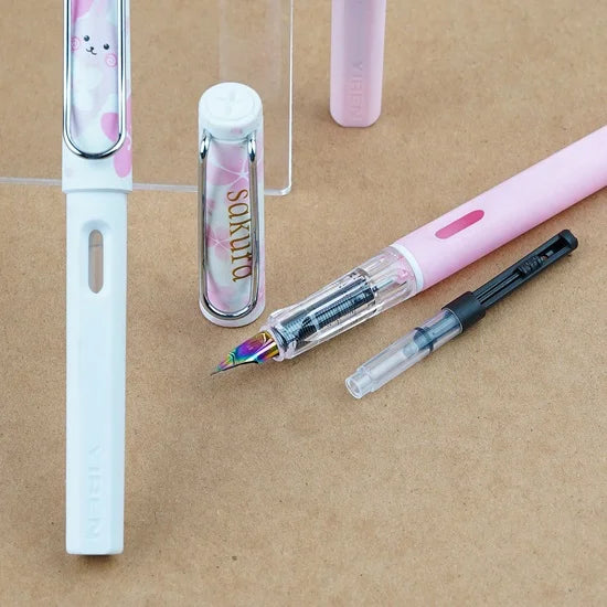 Buy Fountain Ink Pen Online in Pakistan