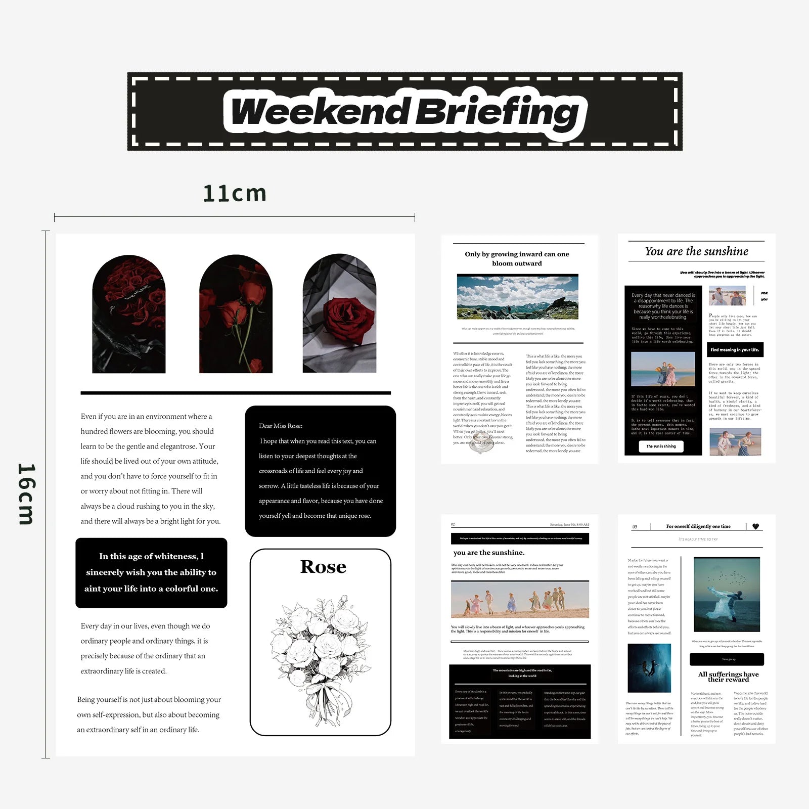 Design layout with text and images on a white background, featuring the title 'Weekend Briefing'.