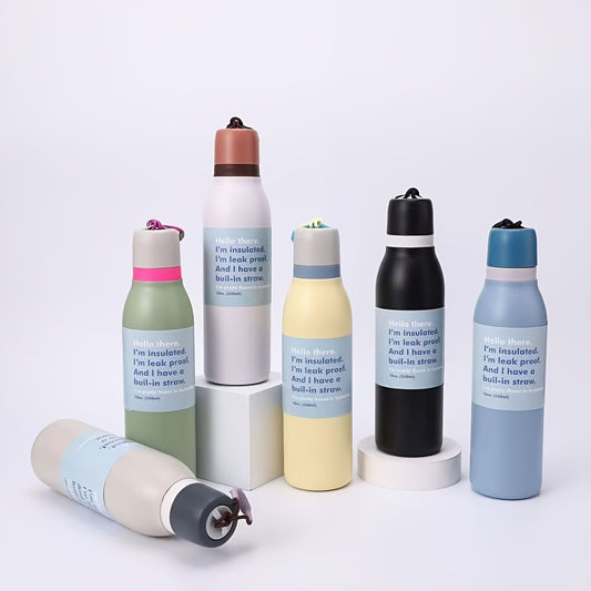 Premium Solid Color Stainless Steel Bottles