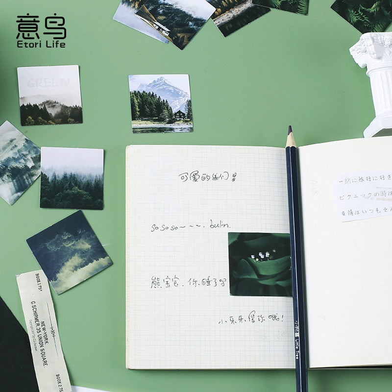 Green Forest Stickers Box