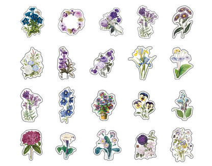 Mountain and Sea Picture Book Sticker Pack