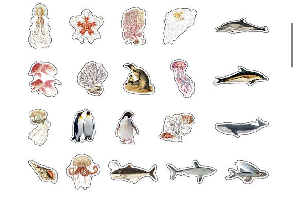 Mountain and Sea Picture Book Sticker Pack – thepaperworm