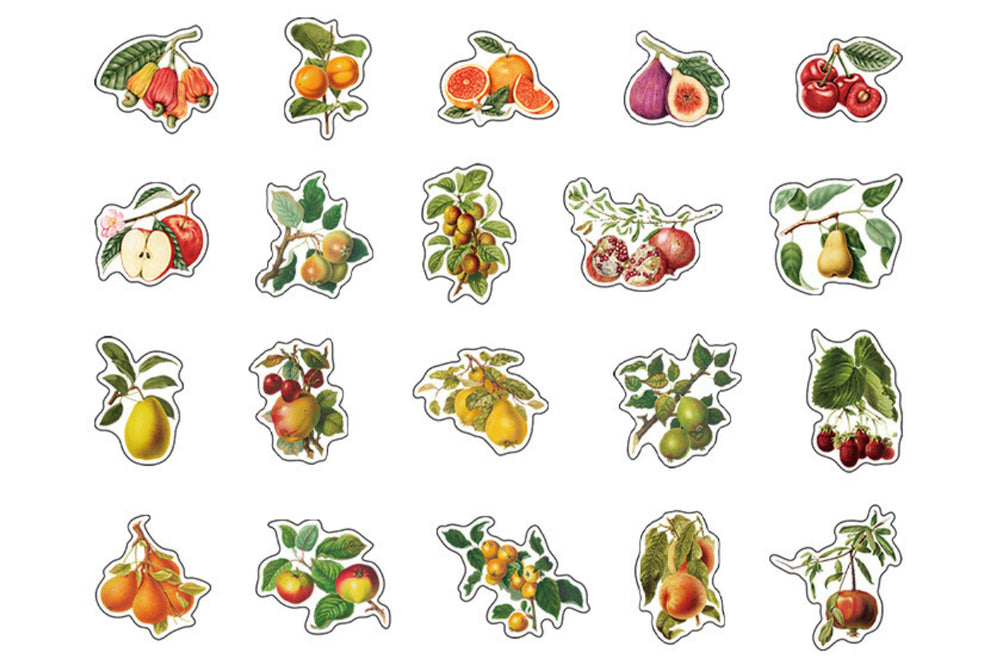 Mountain and Sea Picture Book Sticker Pack – thepaperworm