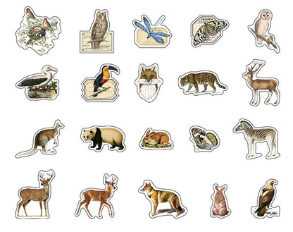 Mountain and Sea Picture Book Sticker Pack
