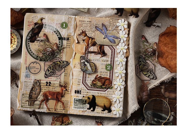 Mountain and Sea Picture Book Sticker Pack – thepaperworm