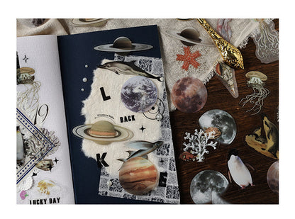 Mountain and Sea Picture Book Sticker Pack